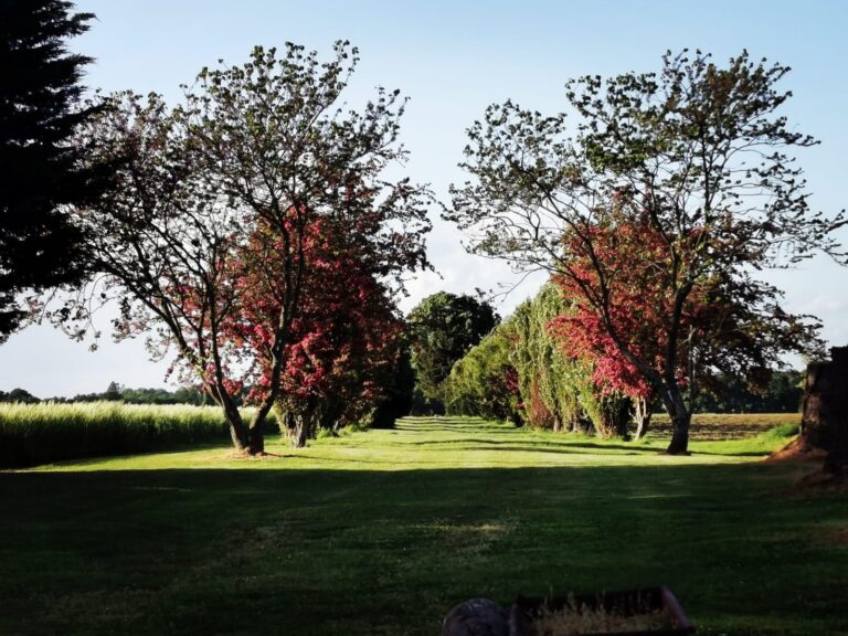 location de salle mariage Domaine des Crançons 3