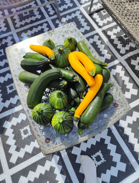marché légumes courtenay