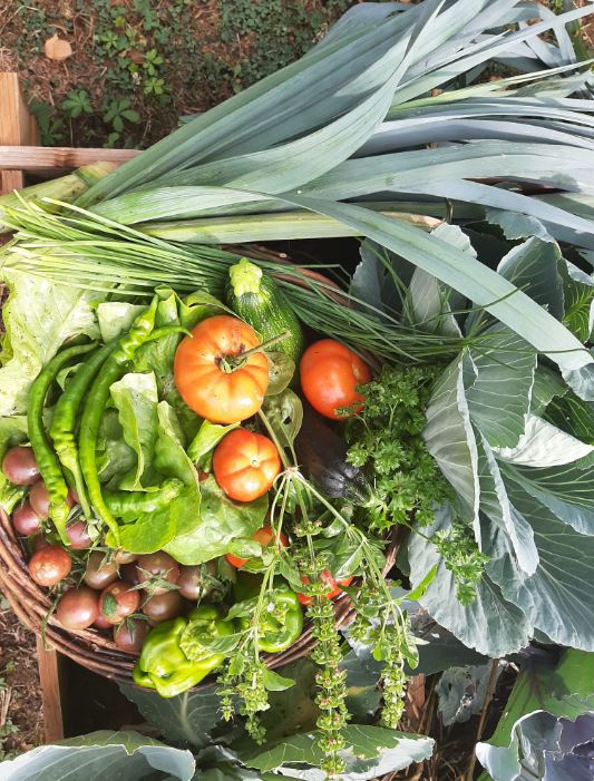 marché légumes montargis naturopathe