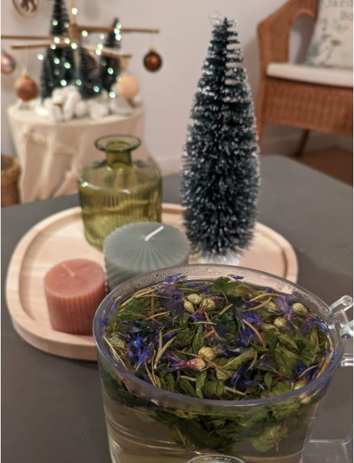 tisane naturopathie bien etre orleans