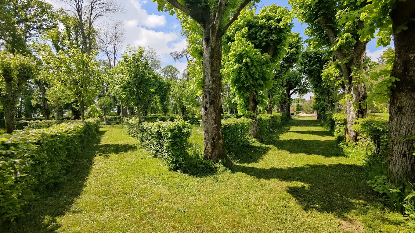 Atelier bien-être en groupe