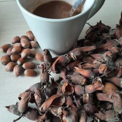 Chloé Pointcheval, naturopathe Orléans et Courtenay - repas healthy et recettes saines