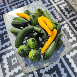 Chloé Pointcheval, naturopathe Orléans et Courtenay - repas healthy et recettes saines