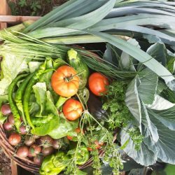 Chloé Pointcheval, naturopathe Orléans et Courtenay - repas healthy et recettes saines